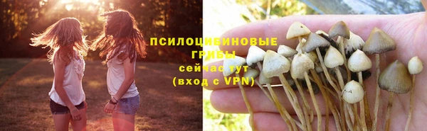 бутик Новозыбков